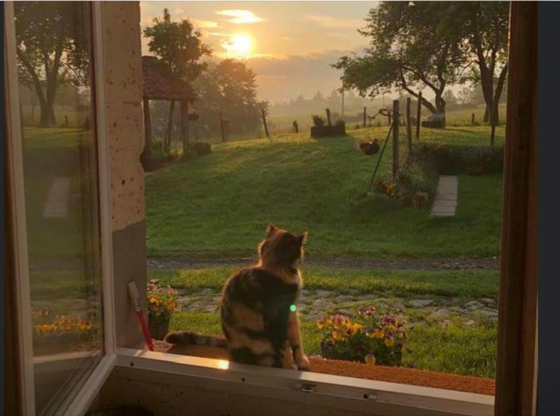 Le Lindois Le Petit Grange Bed & Breakfast エクステリア 写真
